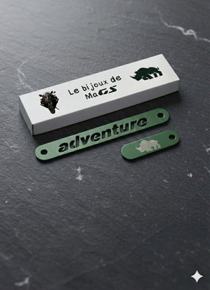 Plaque Verte pour moto GS 1300 Adventure 2025